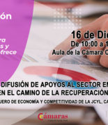 Jornada de difusión de apoyos al sector empresarial en el camino de la recuperación